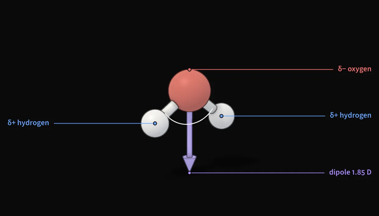 A water molecule, from the ice explainer.