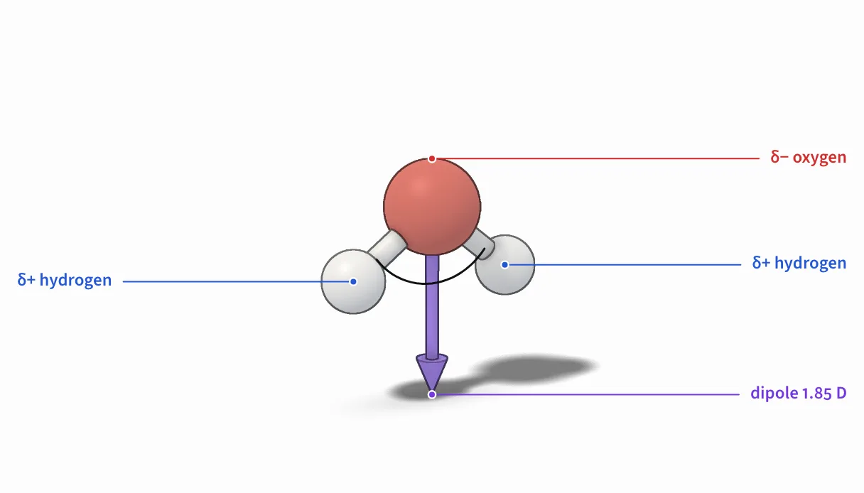 A water molecule, from the ice explainer.
